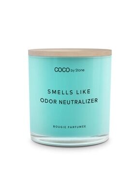 Smells Like Odor Neutralizer Candle - Aqua